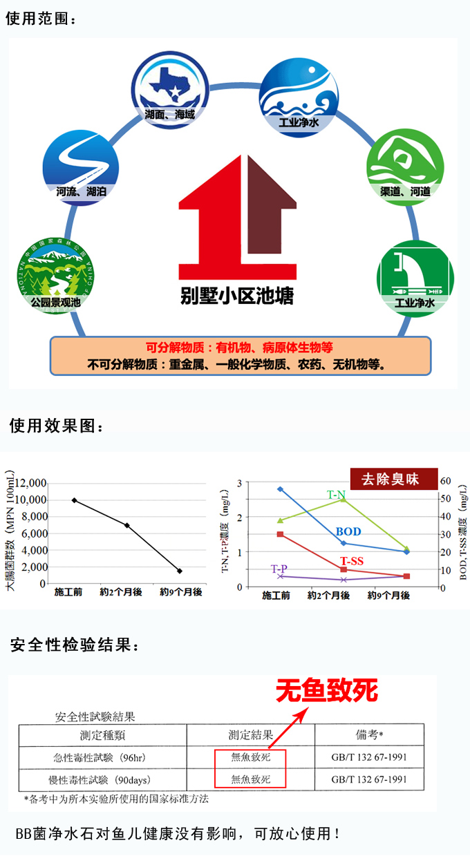 社区鱼池使用净水石