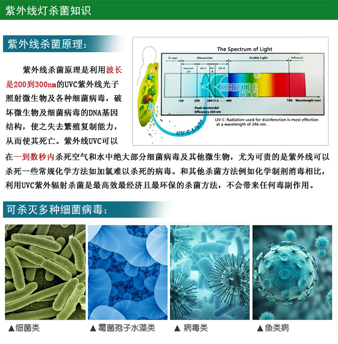 紫外线消毒灯灯